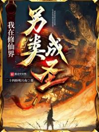 大苍守夜人封面